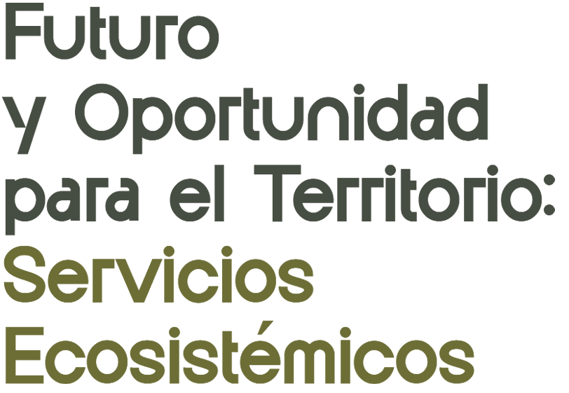 Futuro y oportunidad para el Territorio: Servicios Ecosistémicos